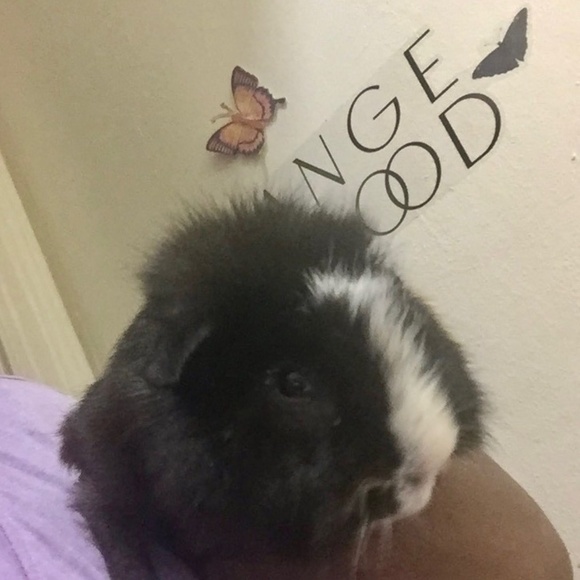 Meet your Posher, ELLA : ) - Picture 4 of 5